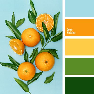 Color Palette #3702 | Color Palette Ideas | Bloglovin’ Vivid Color Palette, In Color Balance, Shades Of Yellow Color, Wall Living Room, Orange Color Palettes, Color Schemes Colour Palettes, Yellow Kitchen, Design Seeds, Color Balance