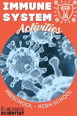 Human body and immune system activities and lessons for preschool, elementary grades, and middle and high school. Includes hands-on activities, free printables, and videos. High School Health Lessons, Health Science Classroom, School Nurse Elementary, Body Systems Activities, Germs Lessons, Germs Activities, Immune System Activities, High School Health, High School Activities