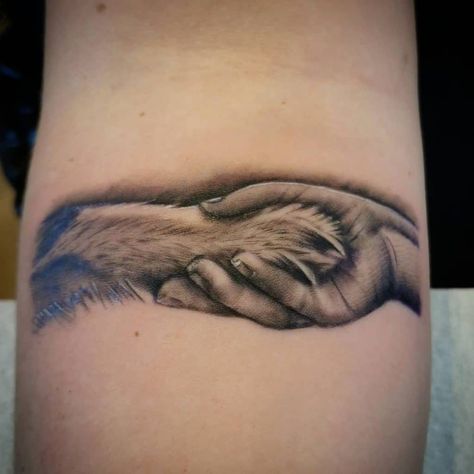 Woman Hand And Dog Paw Tattoo Hand Print Tattoos, Small Dog Tattoos, Pitbull Tattoo, Tattoos For Dog Lovers, Dog Memorial Tattoos, Pawprint Tattoo, Dog Paw Tattoo, Saved Tattoo