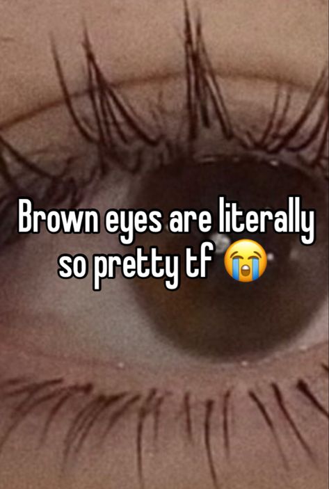 I have dark blue eyes but i wish i had warm brown eyes dude they are literally so pretty how do people hate them Nobody People With Brown Eyes, Your Eyes Are So Pretty, Blue Eyes And Brown Eyes, Brown And Blue Eyes, Blue And Brown Eyes, People With Brown Eyes, Dark Blue Eyes, Pretty Brown Eyes, Pinterest Whispers