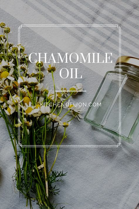 How To Make Chamomile Oil, Chamomile Oil Health Benefits, Herbal Flowers, Herbal Benefits, Spa Vibes, Herbal Oils, Honey Drink, Healing Remedies, Chamomile Oil