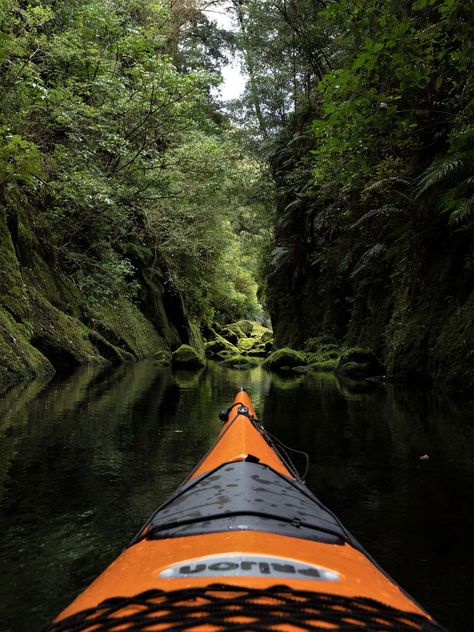 Tauranga Scenic Lake McLaren | Waimarino Kayak Tours Mount Maunganui, Bay Of Plenty, Kayak Tours, Shore Excursions, Adventure Park, Calm Water, Hidden Gems, Cruise Ship, House Tours