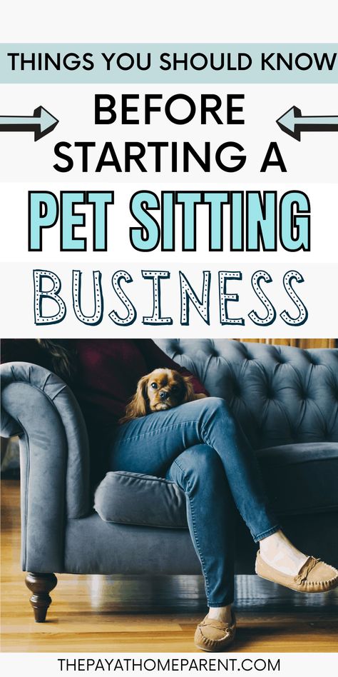 If you put in the work and you’re committed to starting a successful pet sitting business, then it will be well worth it. Dog Sitting Business, Pet Care Business, Pet Sitting Business, Starting A Daycare, Stay At Home Jobs, Dog Grooming Tips, Pet Businesses, Pet Sitting, Pet Hacks