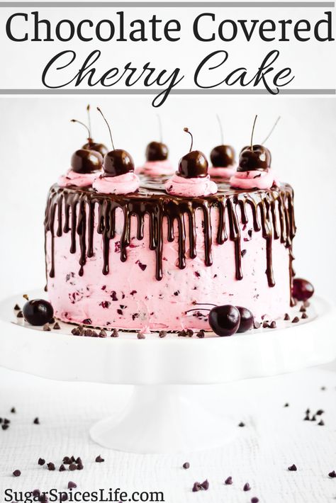 Cherry Ganache, Cherry Buttercream, Chocolate Fruit Cake, Cherry Cake Recipe, Chocolate Covered Cherry, Ganache Filling, Chocolate Cherry Cake, Colorful Food, Fresh Cherry