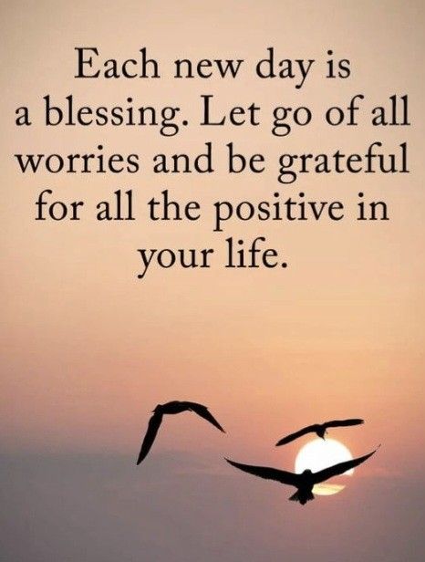 Grateful Morning Quotes, Be Thankful Quotes Gratitude, Gratitude Quotes Thankful I Am Blessed, Grateful Thankful Blessed Quotes, Gratitude Quotes Thankful, Weekly Quotes, Blessings Quotes, Grateful Quotes, Love Good Morning Quotes