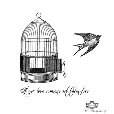 Set them free, Vintage Birdcage and Bird with quote Wickedly ... Bird Cage Tattoo, Love Bird Tattoo Couples, Robin Bird Tattoos, Birdcage Tattoo, Cage Tattoo, Bird Tattoo Sleeves, Swallow Bird Tattoos, Bird Set Free, Bird Tattoo Meaning