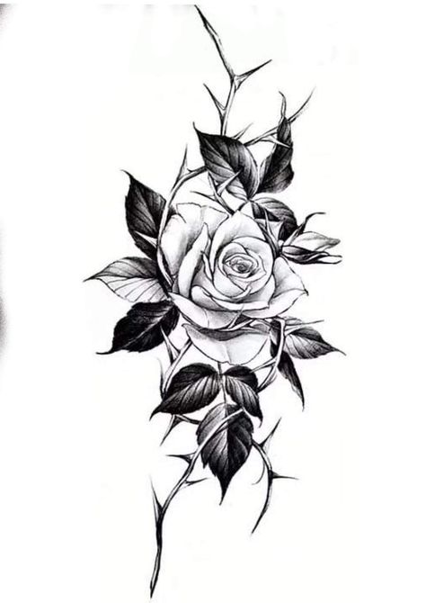 Christian Cover Up Tattoos For Women, Thorn Vine Tattoo Men, Flowers Neck Tattoo, Back Tattoo Cover Up Ideas For Women, Rose Back Tattoo, Rose Thorn Tattoo, Jungkook Hands, 224 Tattoo, Pelvic Tattoos