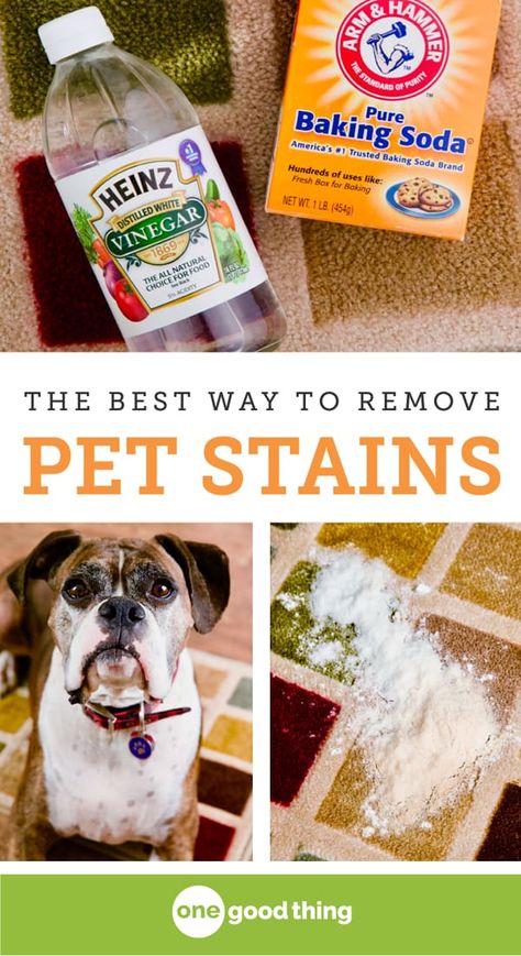 Remove Pet Stains, Carpet Diy, Homemade Toilet Cleaner, Clean Baking Pans, Cleaning Painted Walls, Apartment Decoration, Glass Cooktop, Deep Cleaning Tips, Pet Stains