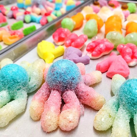 Freeze Dyer, Freeze Dried Snacks, Freeze Dryer, Freeze Dried Candy, Dried Candy, Candy Board, School Morning, Soft Candy, Wishlist 2024