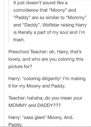 Wolfstar Harrys Parents, Harry Raised By Sirius And Remus, Wolfstar Raising Harry Headcanon, Wolfstar As Parents, Wolfstar With Harry, Remus And Sirius Raising Harry, Wolfstar Raises Harry, Sirius And Remus Raise Harry, Sirius Raising Harry