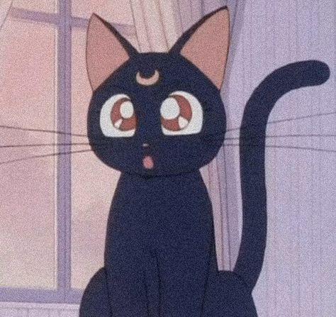 Sailor Moon Luna, Moon Luna, Sailor Moon, Black Cat, Moon, Black