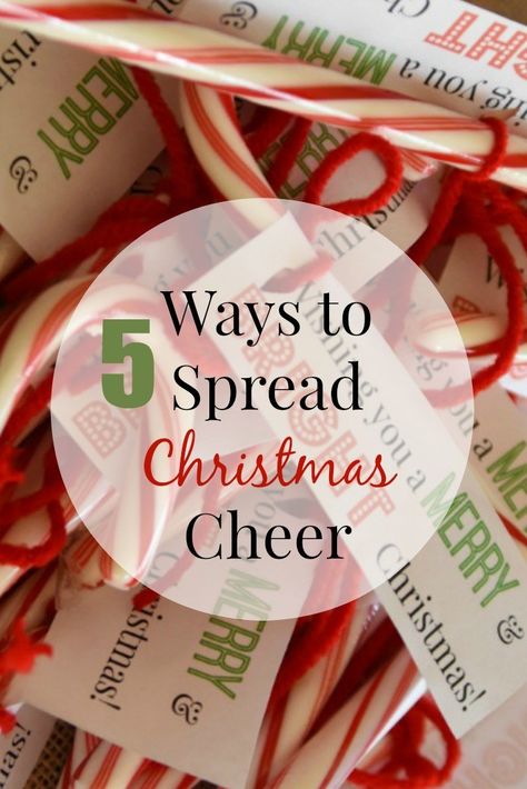 Finding the perfect gift becomes more important than celebrating our greatest gift. Here are just five ways to spread Christmas cheer with others. Christmas Cheer Gifts, Christmas Activities For Toddlers, Christmas Destinations, Christmas Traditions Family, Christmas Entertaining, Cheer Gifts, Decorating With Christmas Lights, Toddler Christmas, Christmas Travel