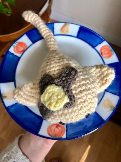 Pancake Stingray, Crochet Pancake, Stingray Crochet, Cute Stingray, Stingray Plush, Plushie Patterns, Crochet Food, Handmade Sellers, Amazon Handmade