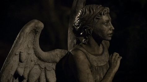 Doctor Who weeping angels Creepy Gif, The Fallen Angel, Weeping Angel, Minding My Own Business, Through Time And Space, Banner Gif, Wibbly Wobbly Timey Wimey Stuff, Good Doctor, Timey Wimey Stuff