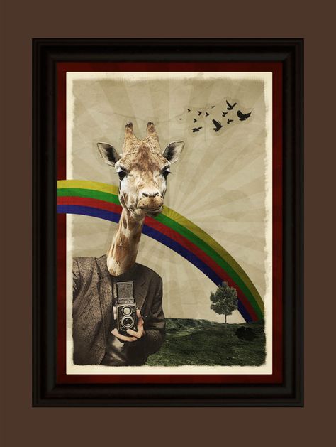 collage giraffe Giraffe Illustration, Camera Man, A3 Poster, Africa Art, Vintage Collage, Poster Retro, Retro Poster, Animals Beautiful, We Heart It