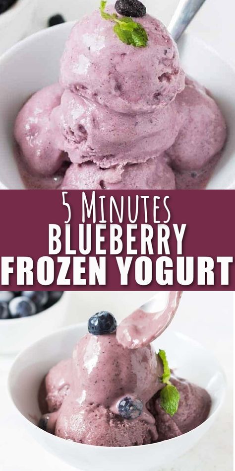 blueberry frozen yogurt in bowl Blueberry Frozen Yogurt, Frozen Yogurt Blueberries, Homemade Frozen Yogurt, Frozen Yogurt Recipes, Yogurt Dessert, Yogurt Ice Cream, Sorbet Recipes, Ninja Creami, Frozen Yoghurt