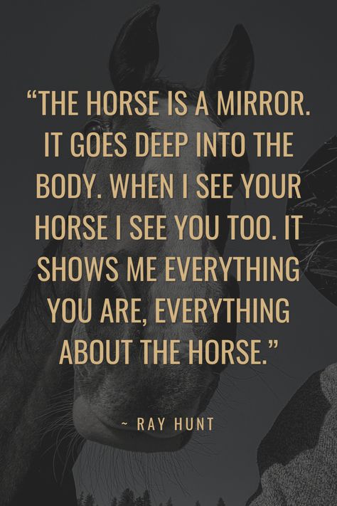 Horse Bond Quotes, Good Horse Quotes, Ray Hunt Quotes, A Girl And Her Horse Quotes, Horse Quotes Meaningful, Companionship Quotes, Cute Horse Quotes, Horse Poems, Horse Sketches