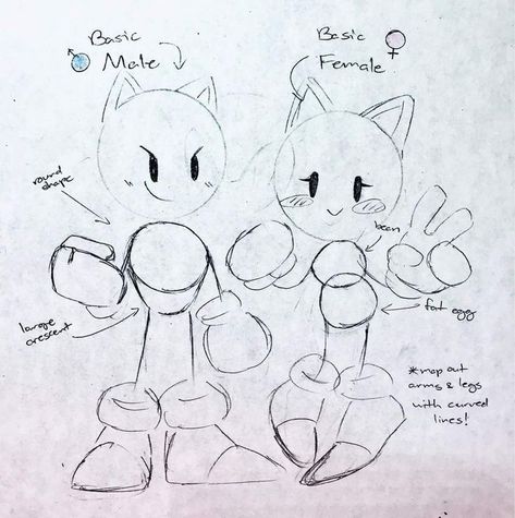 Sonic Characters Tutorial, How To Draw A Sonic Character, Sonic Character Anatomy, Sonic The Hedgehog Sketch Art, Sonic The Hedgehog Art Style, How To Draw Sonic Style, Sonic Anatomy Poses, Sonic Base Drawing, Sonic The Hedgehog Anatomy