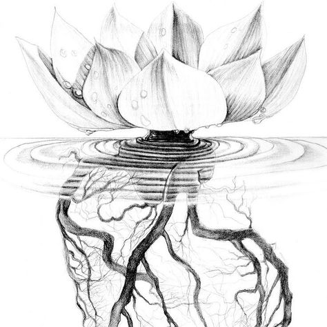 A #lotus flower begins growing at the bottom of a muddy ground and slowly emerges toward the surface, bursting out of the water into a beautiful blossom. It is told that the more muddy and opaque the water, the more beautiful the Lotus flower when it emerges. ' Just like the lotus we too have the ability to rise from the mud, bloom out of the darkness and radiate into the world.' #Awakening #SpiritualGrowth Tattoo Ideas Strength, Growth Tattoos, Buddhist Symbol Tattoos, Lotusblume Tattoo, Lotus Flower Drawing, Roots Tattoo, Flower Tattoo Drawings, Polynesian Tattoos, Geometric Tattoos