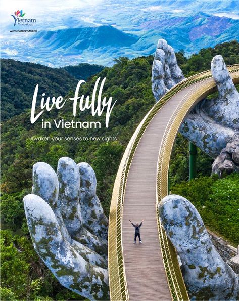 We are launching “Live fully in Vietnam” campaign and welcome international tourists back into the country. Five top tourism spots will re-open first: Phu Quoc, Nha Trang, Hoi An, Da Nang and Ha Long. 🇻🇳 #LivefullyinVietnam Vietnam Tourism, Vietnam Tour, Imperial City, Vietnam Itinerary, Nature Destinations, Vietnam Tours, Ha Long Bay, Tourism Website, Ha Long