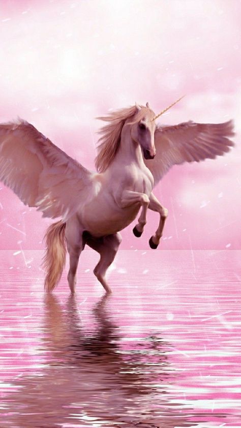 Unicorn Wings, White Unicorn, We Heart It, Water, White