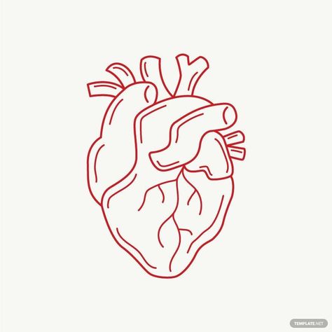 Real Heart Outline, Heart Real, Real Heart, Image Graphic, Outline Illustration, Heart Outline, Heart Template, Heart Illustration, Heart Pin