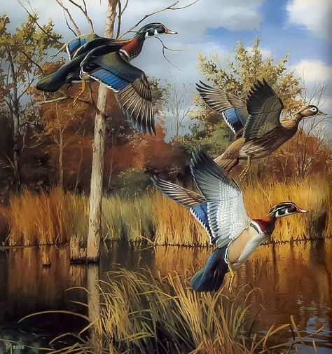 Hunting Wallpaper, Ducks Flying, Waterfowl Art, Hunting Painting, Hunting Art, Ducks Unlimited, Duck Art, Wildlife Prints, Bird Hunting