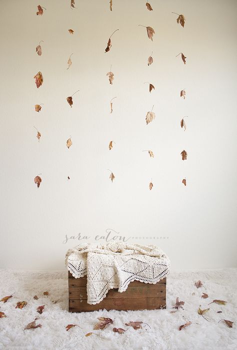 DIY Fall backdrop  www.saraeatonphotography.blogspot.com www.saraeatonphotography.com Fall Studio Setup, Fall Mini Sessions Set Up Boho, Fall Photoshoot In Studio, Fall Mini Shoot Indoor, Autumn Indoor Photoshoot, November Mini Session Ideas, Fall Photo Backdrop Ideas Indoor, Fall Diy Photoshoot, Fall Photo Studio Ideas