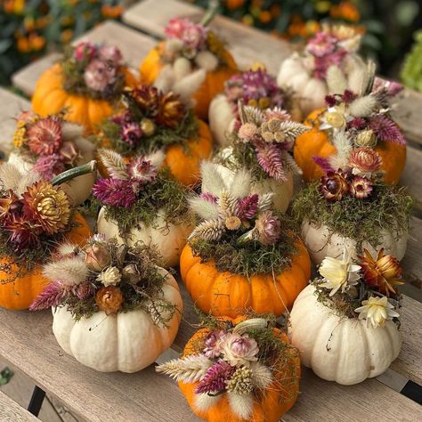 Pumpkins With Flowers, Thanksgiving Table Decor Ideas, Thanksgiving Floral, Thanksgiving Flowers, Canadian Thanksgiving, Pumpkin Arrangements, Pumpkin Wedding, Thanksgiving Table Decor, Pumpkin Flower