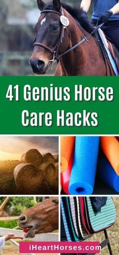 Horse Tack Knowledge, Horse Show Hacks, Barn Hacks Horse, Tack Locker Organization, Diy Horse Stuff, Horse Barn Ideas, Horse Essentials, Toys For Horses, Horse Blankets Winter