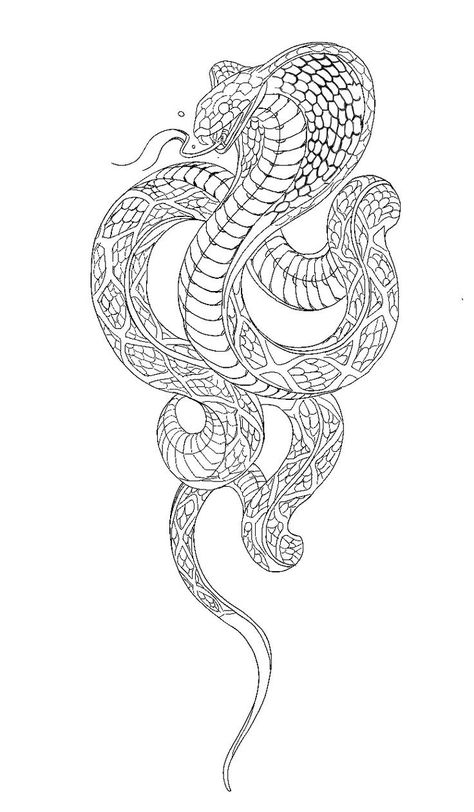 Dragon Outline, Cobra Tattoo, Snake Drawing, Snake Tattoo Design, Medusa Tattoo, Sketch Tattoo Design, Tattoo Stencil Outline, Tattoo Desings, Tattoo Style Drawings