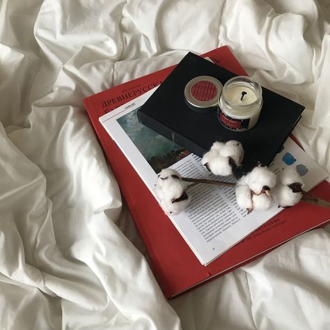 aesthetic instagram, red theme Art Major Aesthetic, Cozy Library, Red Theme, Art Major, Study Pictures, Raspberry Color, + Core + Aesthetic, Aesthetic Icon, Aesthetic Images