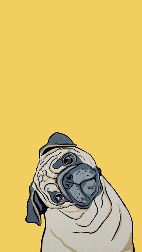 A Pug, Pug Dog, Pug, Yellow