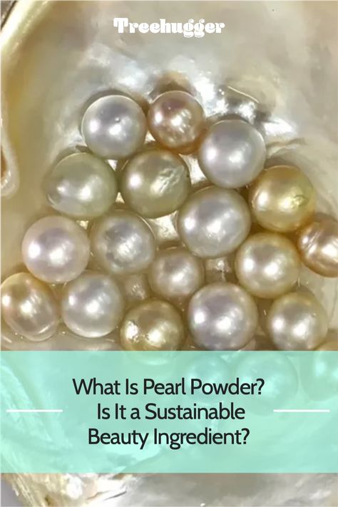 Learn how pearl powder is made and its environmental implications. Brighten Teeth, Inner Health, Non Toxic Makeup, Sustainable Beauty, Beauty Elixir, Pearl Farm, Iridescent Pearl, Environmental Concerns, Oyster Pearl