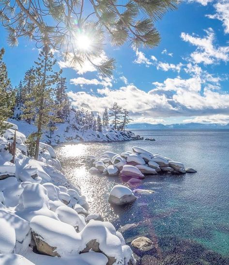 North Lake Tahoe on Instagram: “Need some inspiration to get through the rest of the week? Just think about the three S's: snow, sunshine, and the shore. Photo by…” Lake Tahoe Snow, Tahoe Snow, Tahoe Winter, Lake Tahoe Winter, Lake Tahoe Vacation, Sierra Mountains, North Lake Tahoe, Winter Lake, Sierra Nevada Mountains