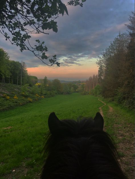 Sienna + Core + Aesthetic, Sunset In The Forest Aesthetic, Horse Core Aesthetics, Brianna Aesthetic Core, Alinacore Aesthetic, Jordyncore Aesthetic, Adrianna Aesthetic, Zuza Core, Sienna Core Aesthetic