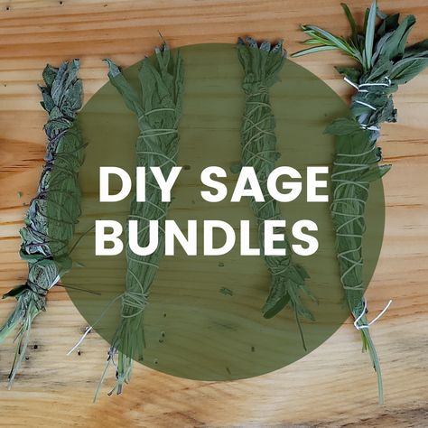 Sage Drawing Bundle, Dried Sage Bundles, How To Make Sage Bundles Smudge Sticks, How To Make Your Own Sage Smudge Stick, Harvesting Sage How To, Sage Wands Diy, Wrapping Sage Bundles Diy, Making Sage Bundles, How To Bundle Sage