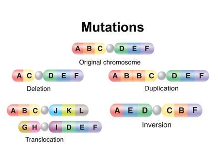 Point Mutation, Biology Activity, Three Letter Words, Genetic Variation, Dna Sequence, Genetic Mutation, Gene Expression, Letter N Words, Biology Notes