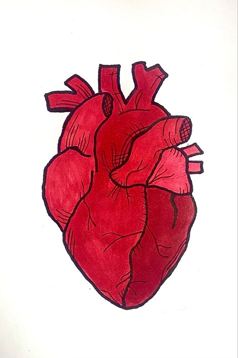 Red Drawings Simple, Red Heart Drawing, A Heart Drawing, Heart Reference, Red Drawing Ideas, Vintage Medical Art, Red Draw, Drawing Heart, Creative Pumpkin Painting