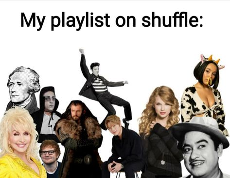 My Taste In Music Is Your Face, Music Taste Memes Funny, Me My Music Taste, Me Vs My Music Taste, My Music Taste Also My Music Taste, Music Taste Quotes, Music Taste Aesthetic, My Taste In Music, Music Memes Funny