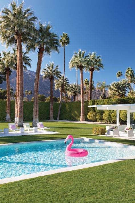 Pool House Party, Palm Springs Backyard, Palm Springs Pool, Palm Springs House, Pool Images, Pool House Designs, Palm Springs Style, House Backyard, Palm Spring