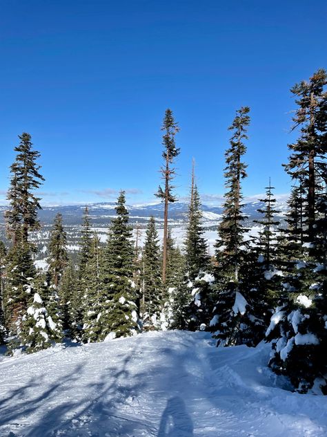 Northstar, northern california, lake tahoe, tahoe, skiing, northstar ski resort, winter Tahoe Skiing, Ski Trips, Snow Girl, Ski Area, Ski Trip, North Star, Ski Resort, Lake Tahoe, Northern California