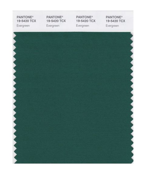 PANTONE SMART 19-5420X Color Swatch Card, Evergreen Winter Deep, Shaded Spruce, Clear Winter, Vintage Indigo, North Sea, Color Swatch, Color Swatches, Pantone Color, Deep Green