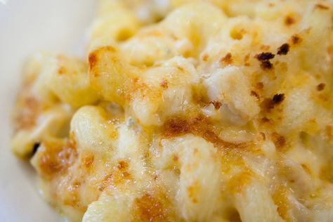 Creamy Baked Mac and Cheese Recipe With Sharp Cheddar and Colby Jack Cheese Creamy Baked Macaroni And Cheese Recipe, Creamy Baked Mac And Cheese Recipe, Make Mac And Cheese, Baked Mac And Cheese Recipe, Colby Cheese, Soup Appetizers, Mac Cheese Recipes, Macaroni N Cheese Recipe, Colby Jack