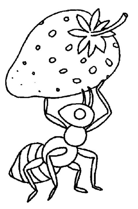 Pictures Of Ants, Tiny Ants, Fruit Coloring Pages, Art Lessons Middle School, Spring Coloring Pages, Anime Fairy, Coloring Book Pages, Coloring Pictures, Color Print