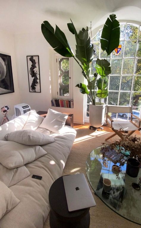 Aesthetic Peaceful, Girl Apartment, Apartment Plants, Peaceful Home, Apartment Aesthetic, Future Apartment, House Plants Decor, Girl Bedroom Decor, Plant Decor