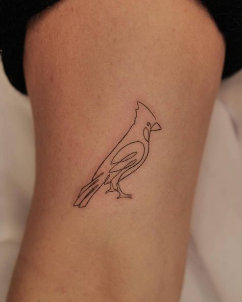 pinterest: hezzprice Cardinal Outline, Cardinal Tattoo Ideas, Small Cardinal Tattoo, Ideas To Paint, Cardinal Tattoo, Simple Tats, Cardinal Tattoos, Basic Tattoos, Paint The Town Red