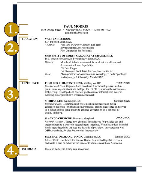 Example of law school resume from Yale Law School website Lawyer Resume, Yale Law, School Resume, Yale Law School, Resume Advice, Resignation Letters, Law Students, Leadership Abilities, Environmental Law