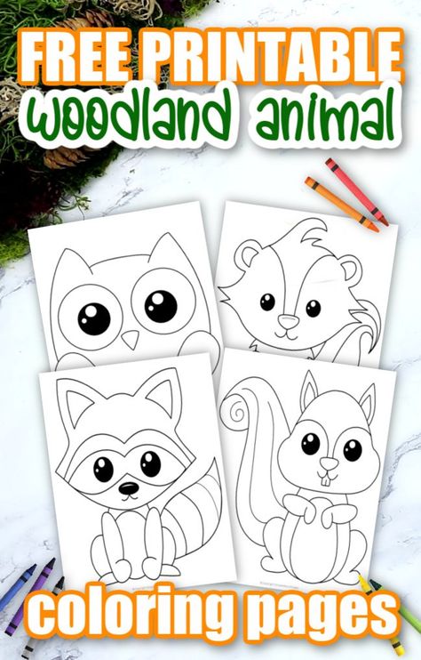 Woodland Forest Animals Archives - Simple Mom Project Skunk Craft, Forest Animals Preschool, Simple Mom Project, Forest Animal Crafts, Squirrel Coloring Page, Forest Animals Theme, Forest Crafts, Woodland Animals Theme, Owl Coloring Pages