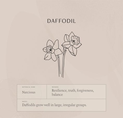 Daffodil Flower Meaning, Daffodil Tattoo Meaning, Narcissus Flower Meaning, 2 Daffodils Tattoo, Daffodil Meaning, Minimalist Tattoo Ideas With Meaning, Flower Symbolism, Meaningful Wrist Tattoos, Daffodil Tattoo